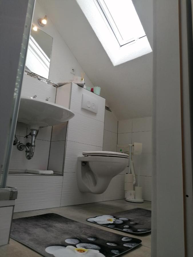 Apartment An Der Schweizer Grenze Laufenburg Eksteriør billede