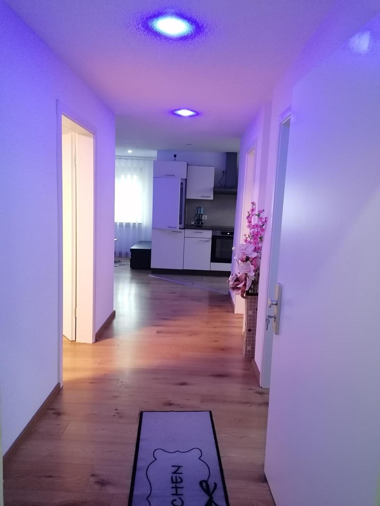 Apartment An Der Schweizer Grenze Laufenburg Eksteriør billede